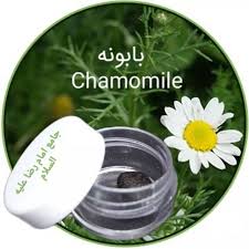 جامع رضوی با آب بابونه