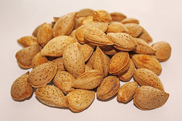 بادام درختی